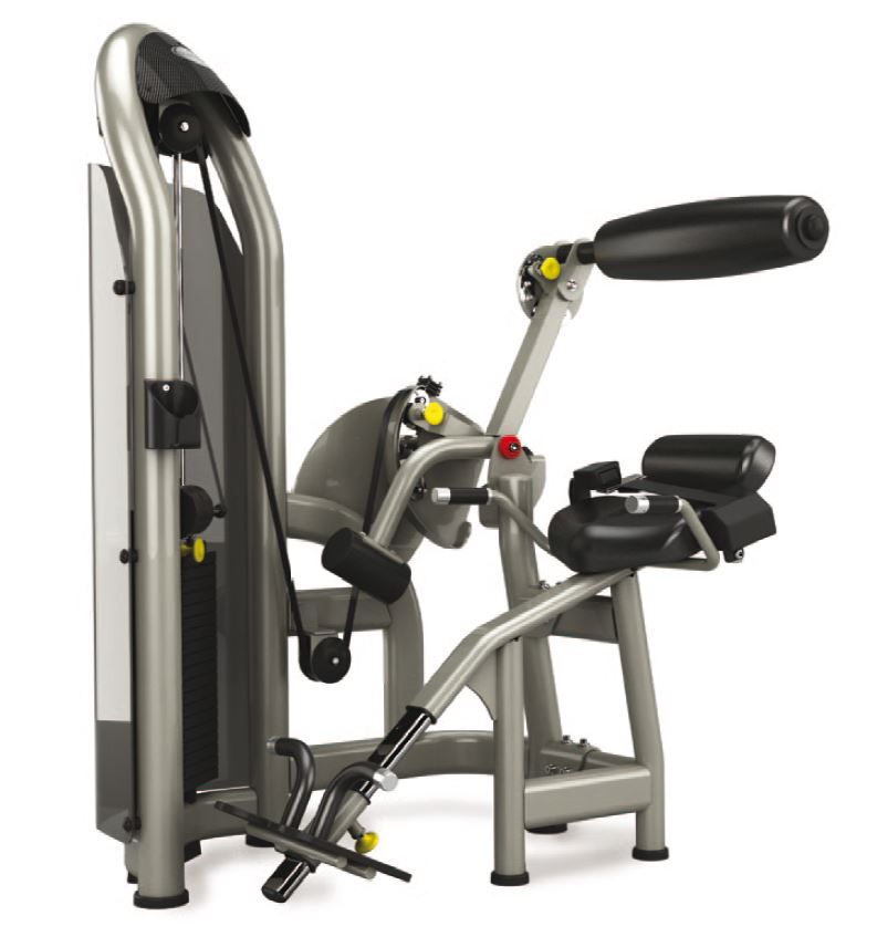 Matrix Aura G3-S52 Rückenstrecker, Hyperextensionmaschine, Farbe Silber und Schwarz verfügbar, gebraucht - überholter Zustand