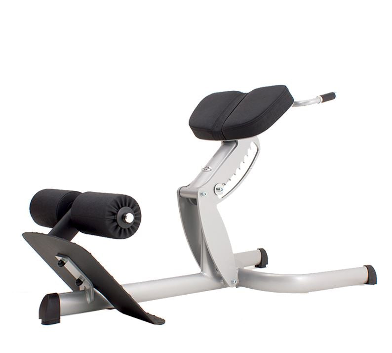 Gym80 Rückenstreckerbank 4119,  45 Grad, Hyperextension, Sygnum Serie, Rahmen Silber, Polster Schwarz, gebraucht - überholter Zustand