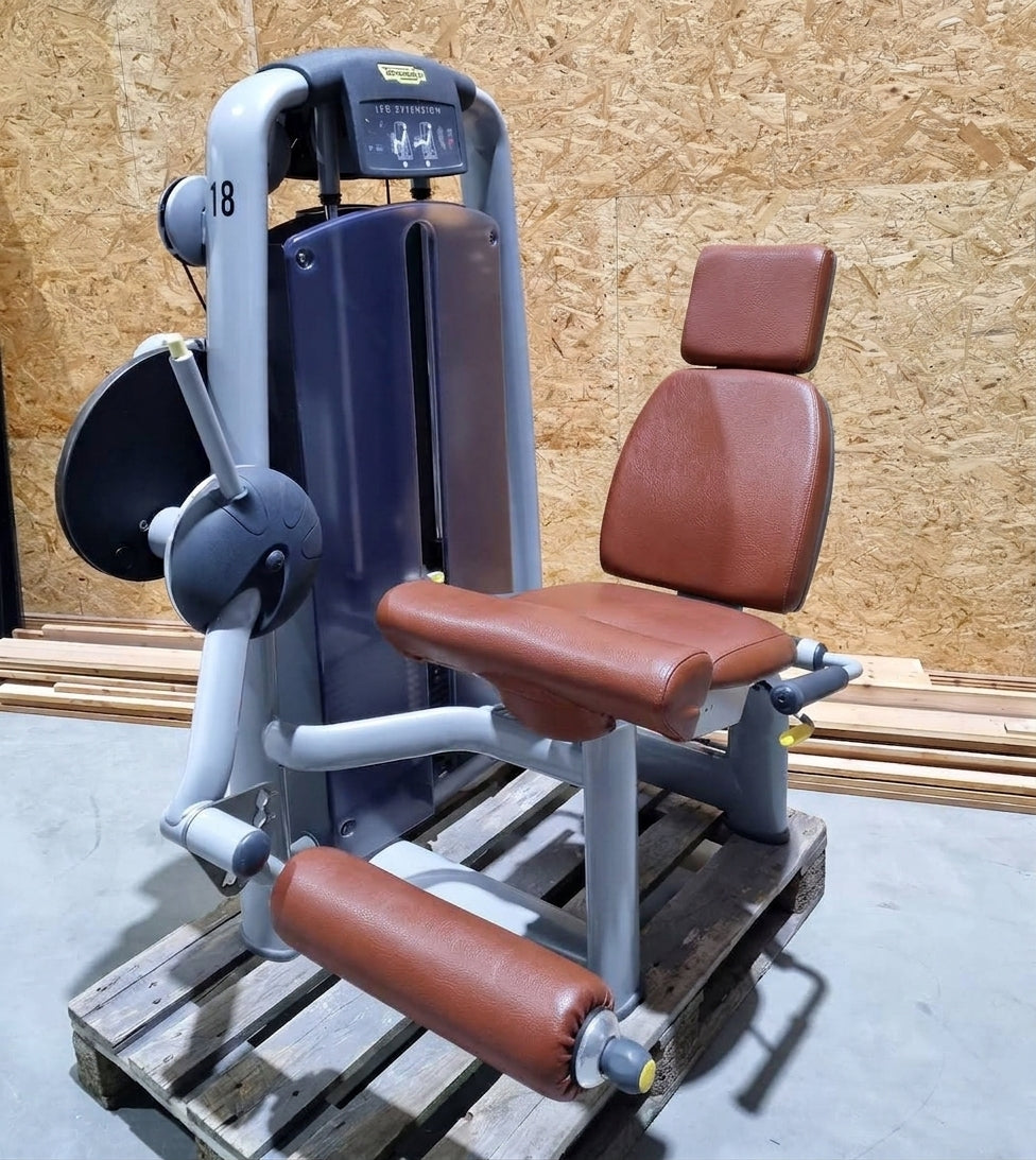 TechnoGym 18 Kraftgeräte mit Steckgewichten im Set aus der Selection Line, Strength Machines with Stack Weight, gebraucht - überholter Zustand