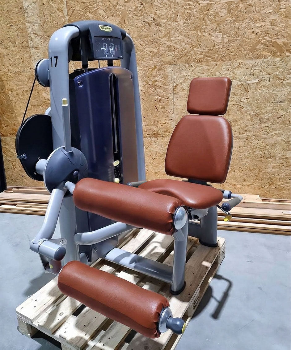 TechnoGym 18 Kraftgeräte mit Steckgewichten im Set aus der Selection Line, Strength Machines with Stack Weight, gebraucht - überholter Zustand