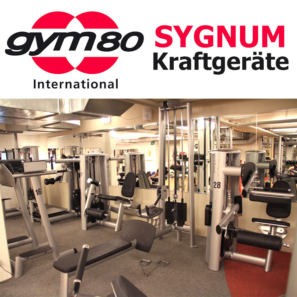 Gym80 Sygnum individual devices e.g. cable pull, leg extension, lat pull, chest press, gluteus, cable pull, press bench, benches adjustable basic, back extension etc., used