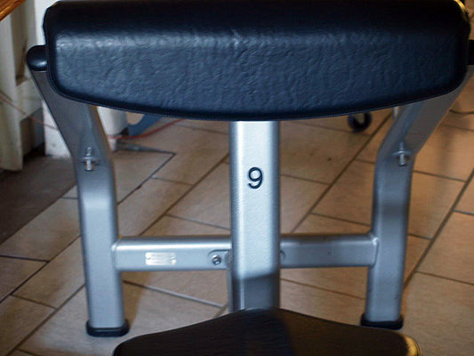 Scottcurl, silber, gebraucht