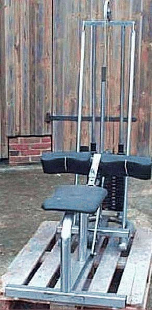 Universal calf machine, seated, chrome, used