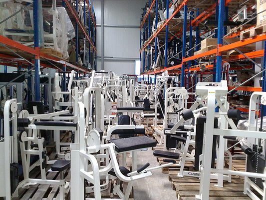 Cybex Gluteusmaschine, gebraucht