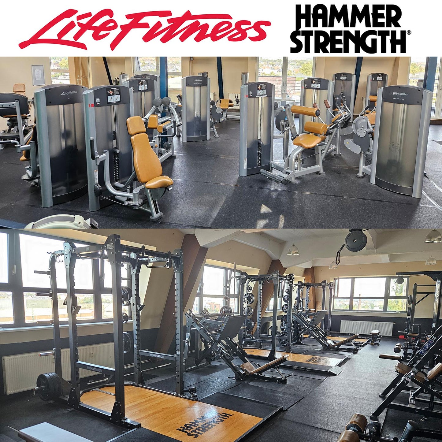 Life Fitness & Hammer Strength - 95 Fitnessgeräte - 105 Stationen, Kraftgeräte, Cardiogeräte, Plate loaded Geräte, Bänke etc - komplettes Fitnessstudio - gebraucht, überholter TOP Zustand
